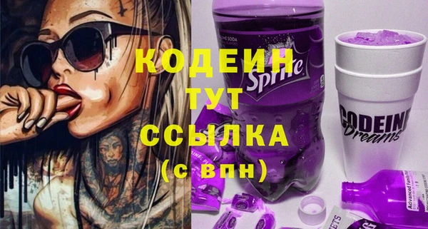 амф Шадринск