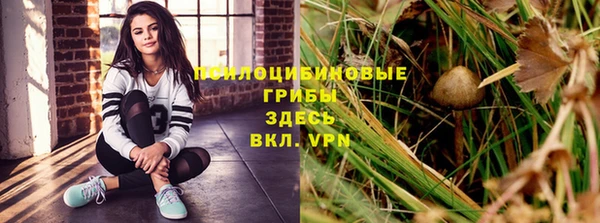 не бодяженный Ладушкин