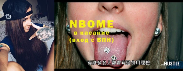 хмурый Шали