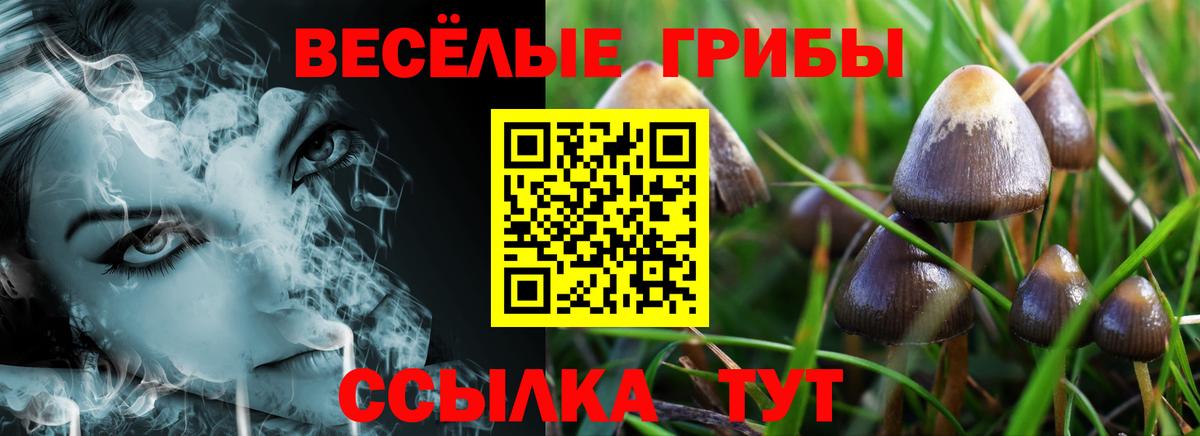 Псилоцибиновые грибы Psilocybine cubensis Комсомольск-на-Амуре